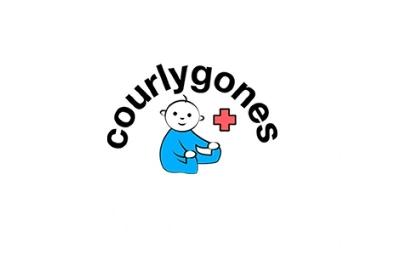 Fiches Conseil Courlygones