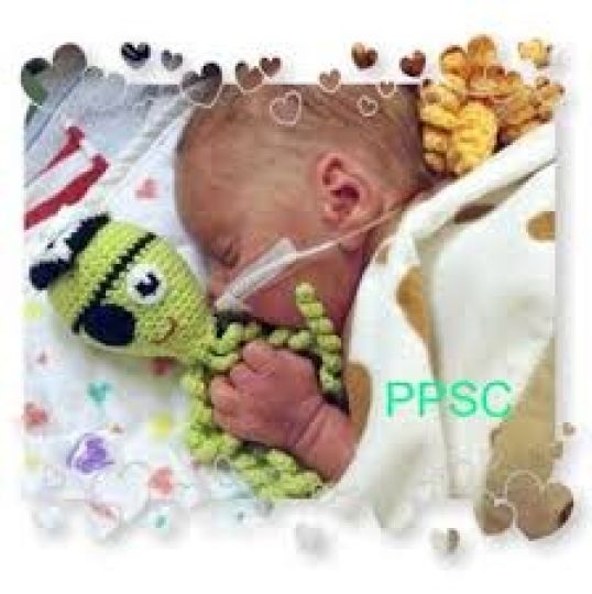 téléchargement (1) téléchargement (1)